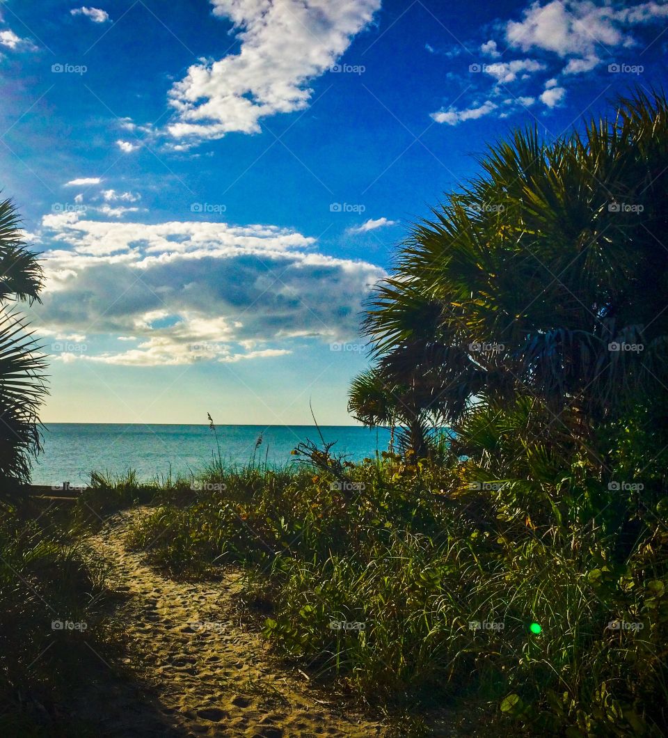 Pathway to the beach . Pathway leading to the beach in Englewood, Florida