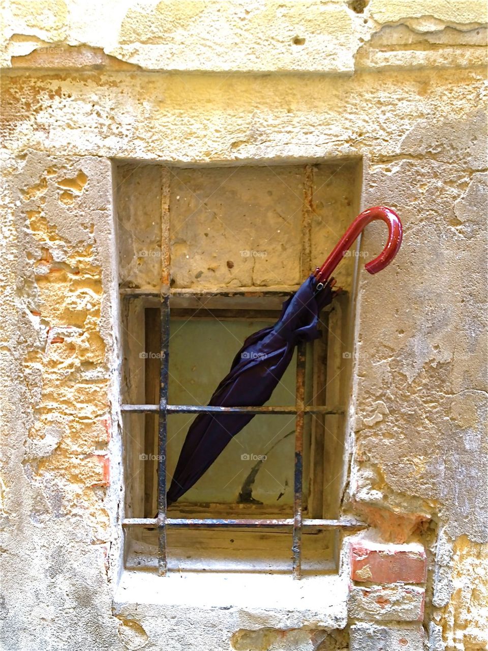 Umbrella to the public