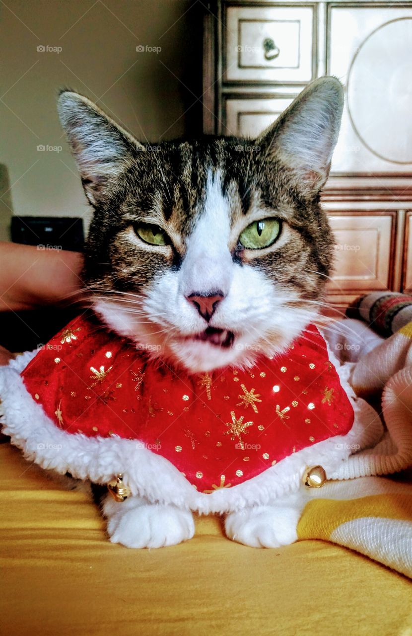 cold outside, cold inside.