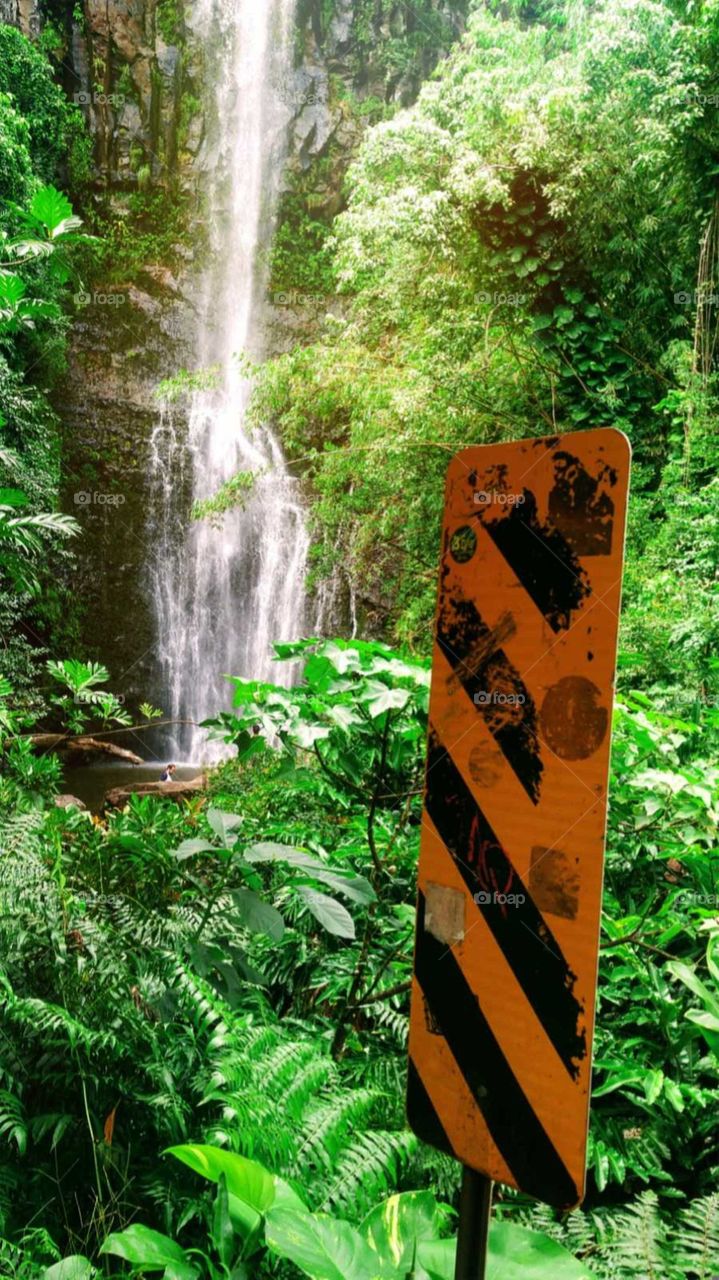 road sign near a fall in Maui