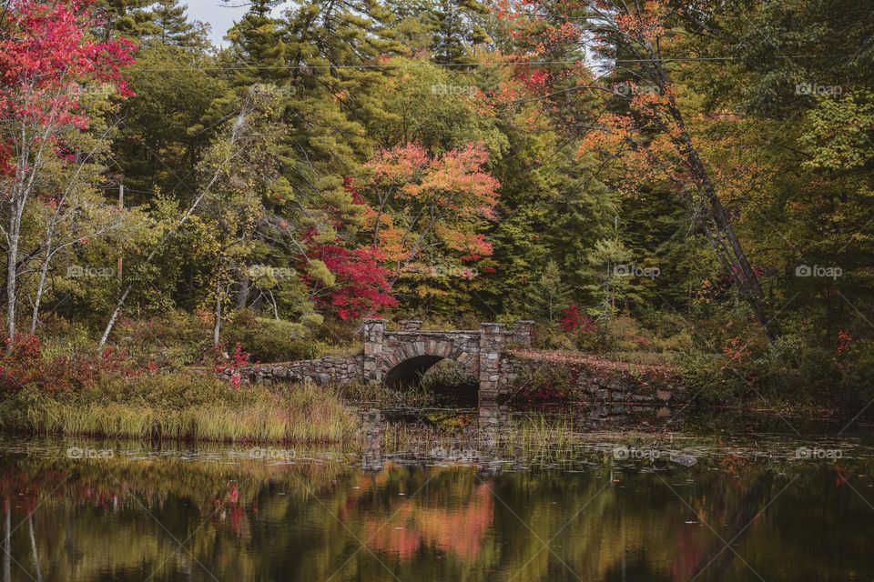 Provincial life. Life in Bridgton, Maine