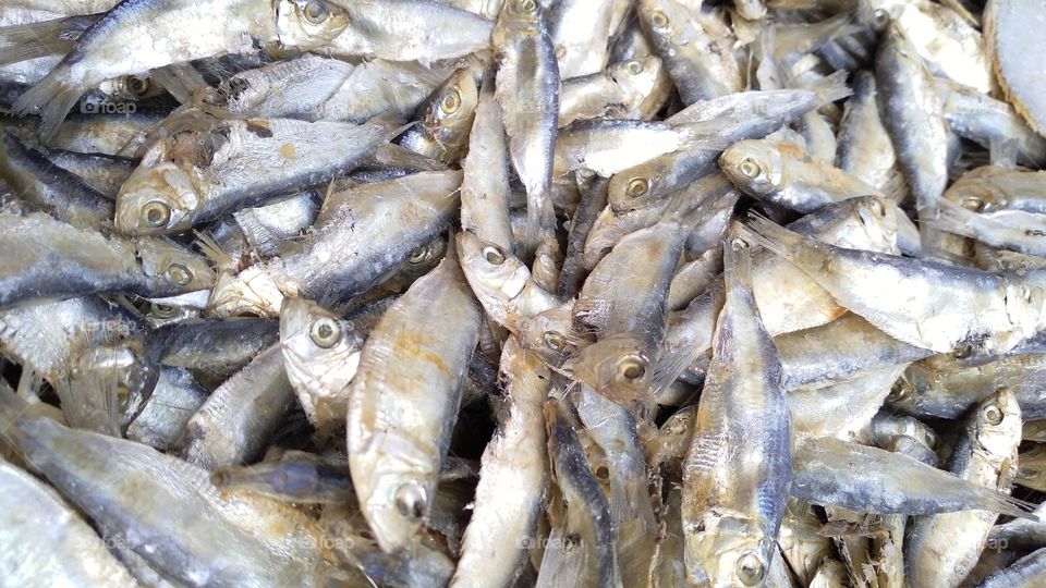 Salted fish that is ready to be cooked