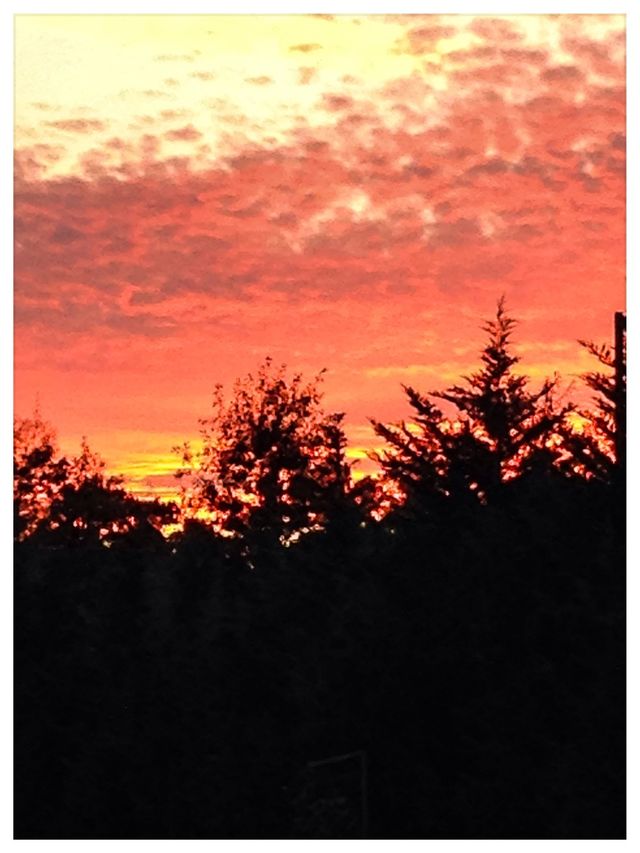 Sunset #3