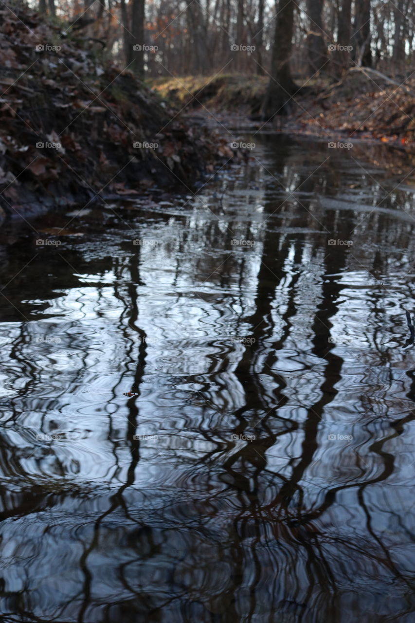 Rippling creek in the forest.