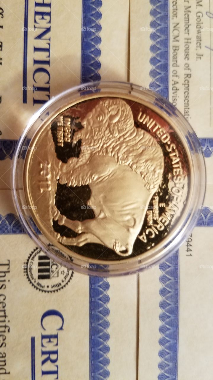 beautiful gold buffalo nickel from 2005