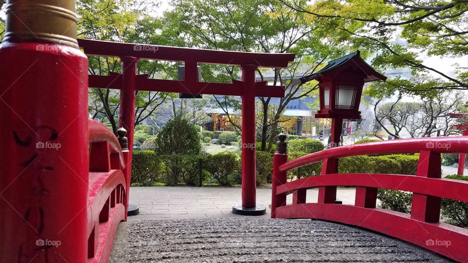 Japanese garden with red bridge and torii gates