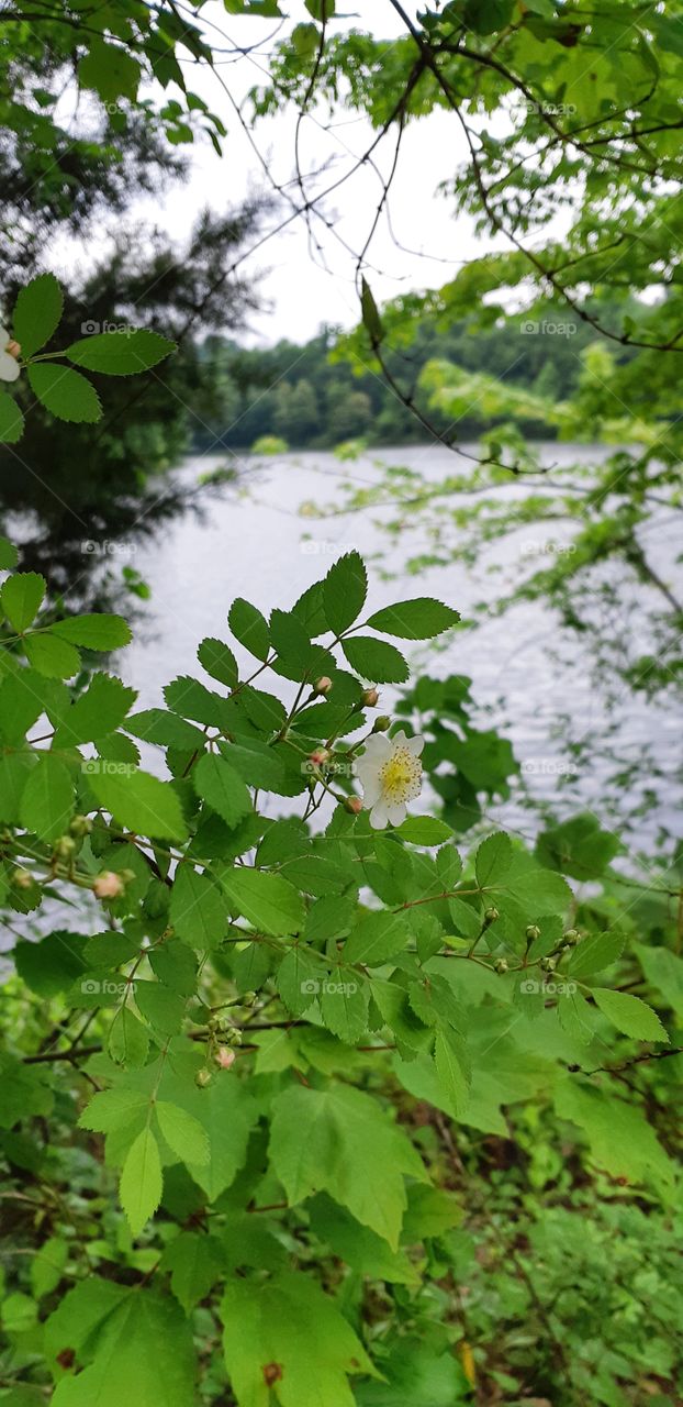 We all gravitate towards nature sooner or later.