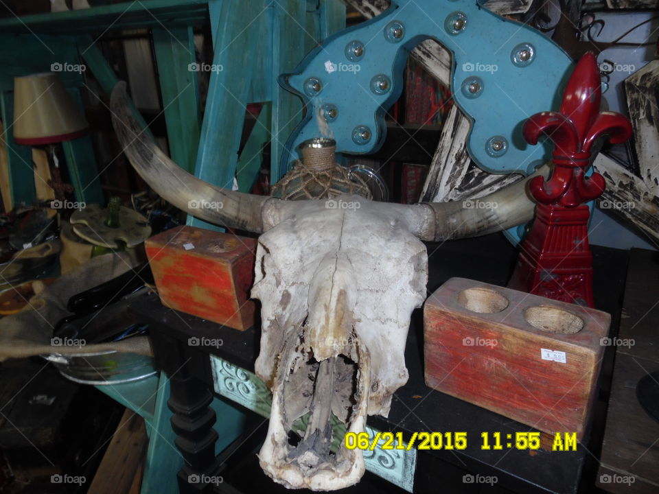 Texas longhorn 💀. This is a picture of a Texas longhorn skull 💀 that is a very common piece of artwork in Texas