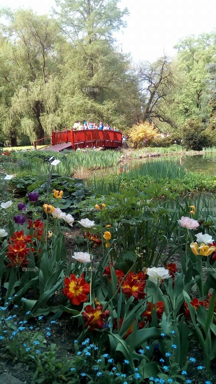 flower park