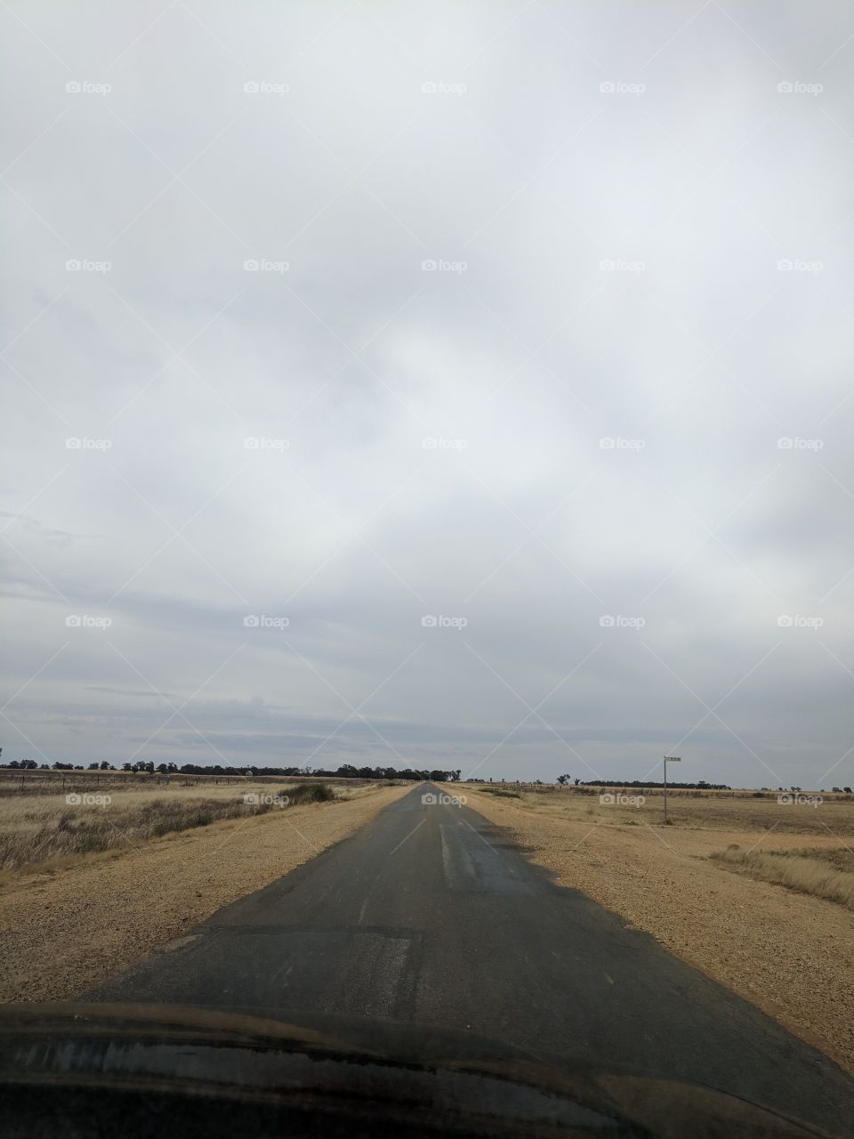 Taking a shortcut down a narrow lonely bitumen road in the middle of Victoria