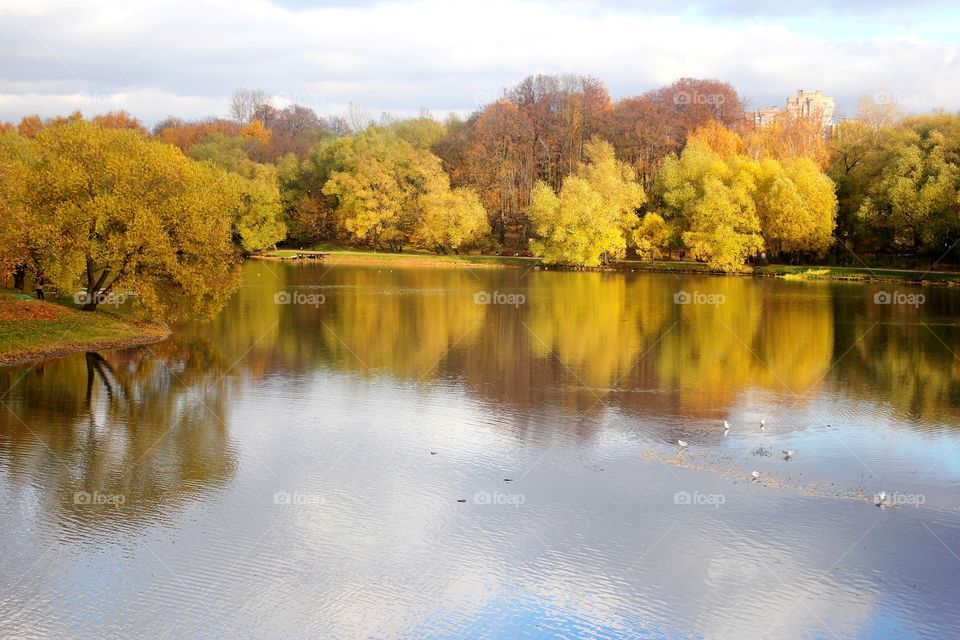 Autumn colors in Kolomenskoye park, golden trees reflection in calm water of the pond