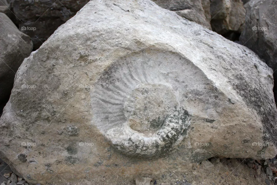 Stone