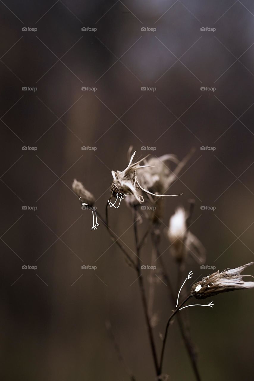 when you're having a bad day and you're a photographer