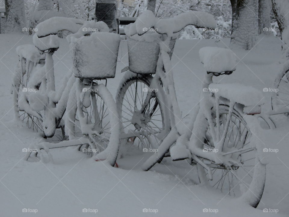 Love is in the air. Bikes