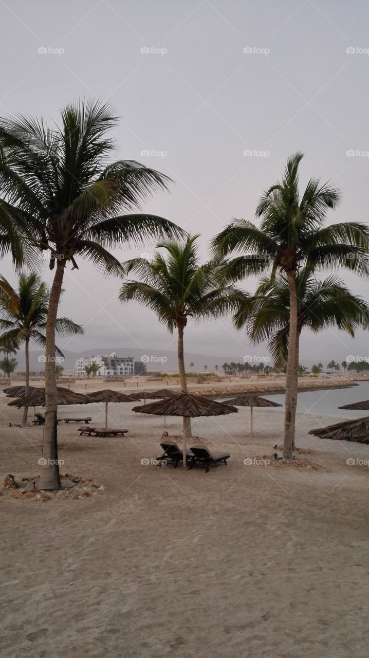 salalah beach. Oman beauty has an address 