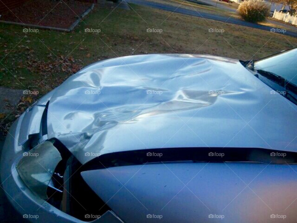 Car hood damage from deer 