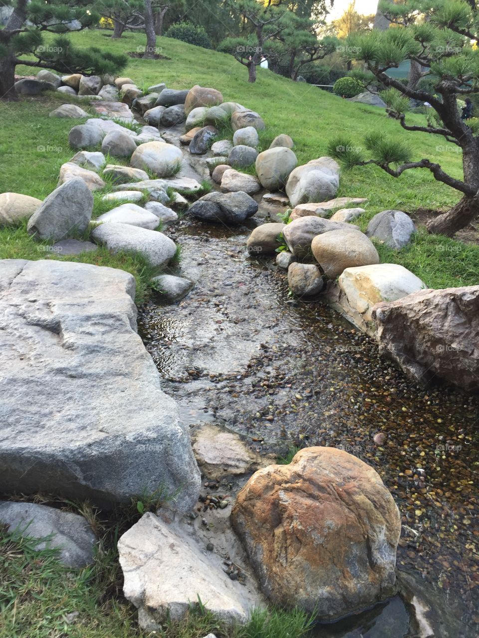 Water flowing in japanese garden