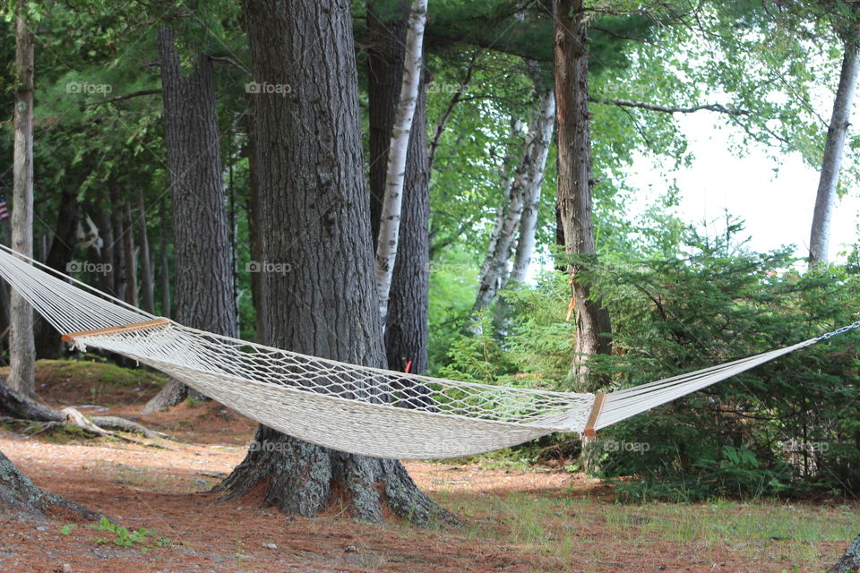 Hammock outside camping