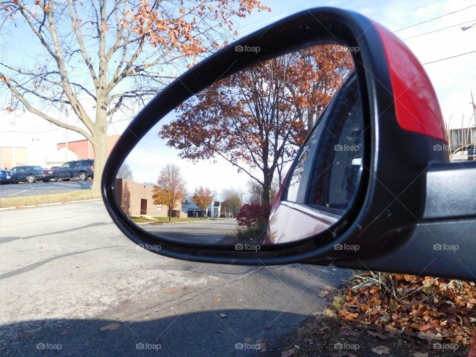 Autumn Leaves on a Tree Reflected in Red Car Mirror