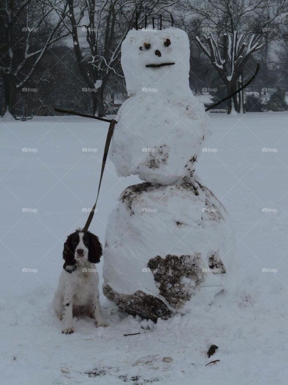 The snow man and snow dog