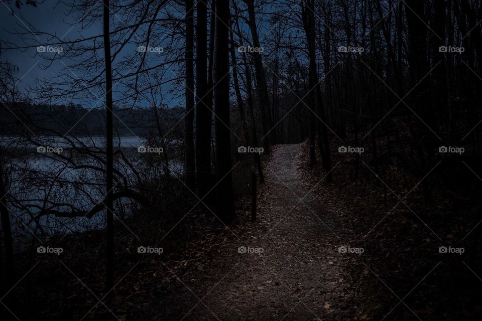 Hiking in the light of the moon. Yates Mill County Park, Raleigh, North Carolina. 