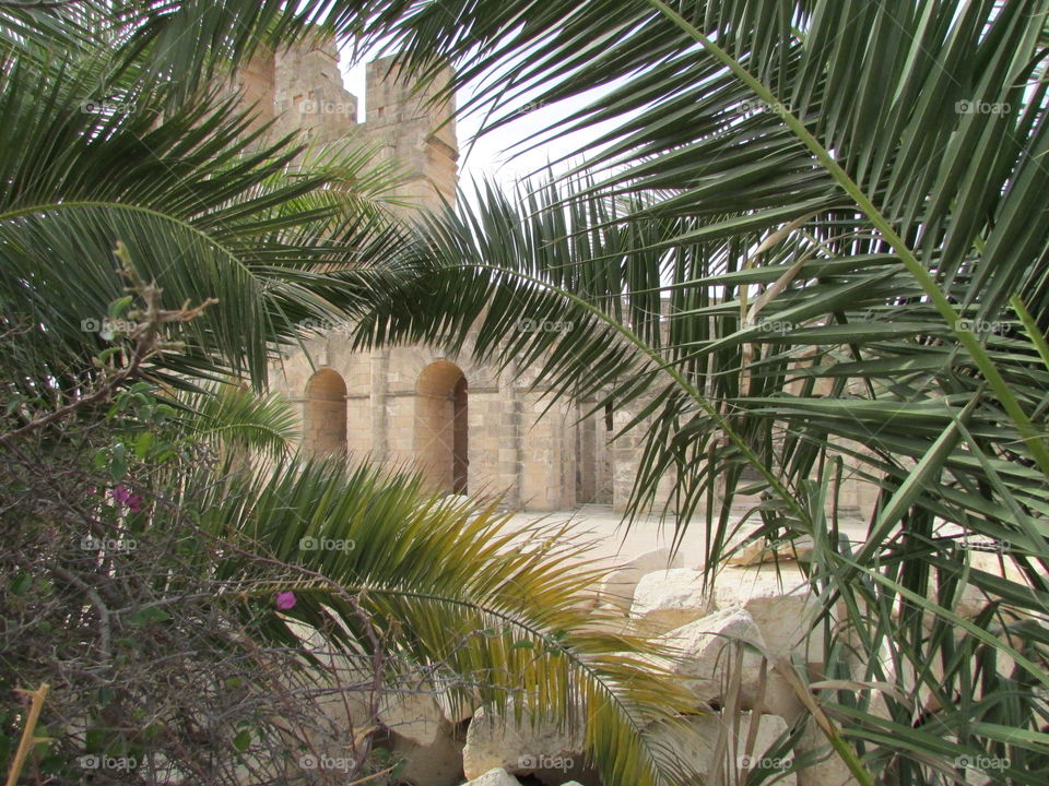 colosseum in tunisia