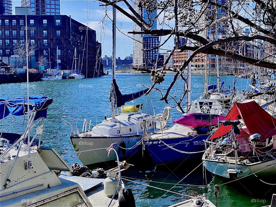 The boats at “Newtown Creek” in LIC, Queens by the “Pulaski Bridge” are so lovely one could even say romantic. The afternoon sun makes the water sparkle and shoot off tiny darts of light. 2023. Hypnotic Productions