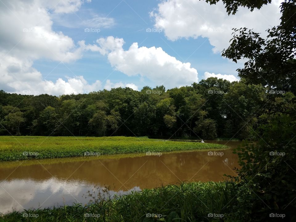 Fishing in the river