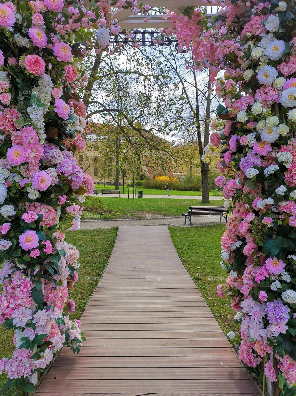 Baby pink colour. Nice flowers decoration. Walk in the park. Spring time.