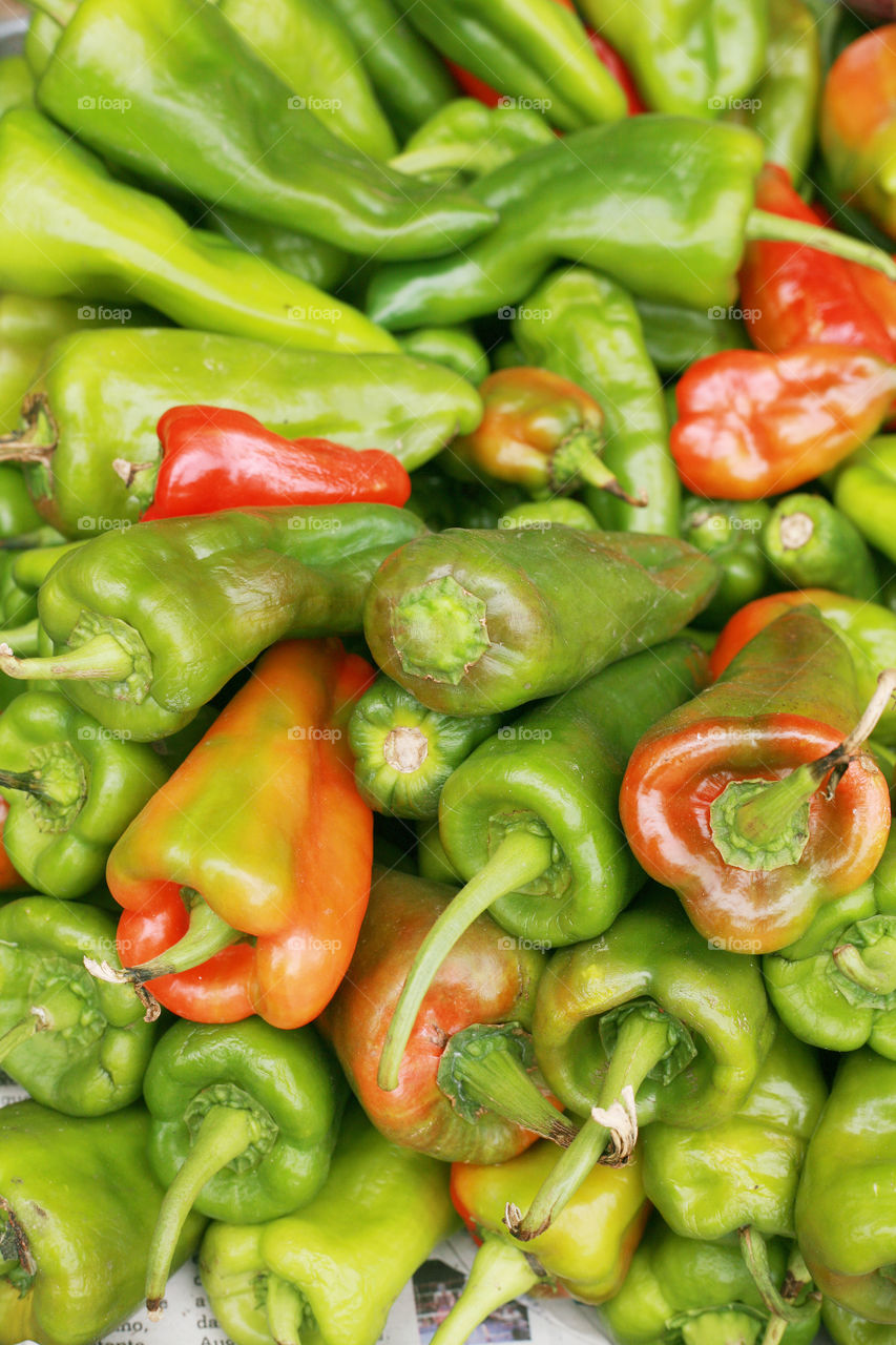 bell peppers (capsicum annuum)