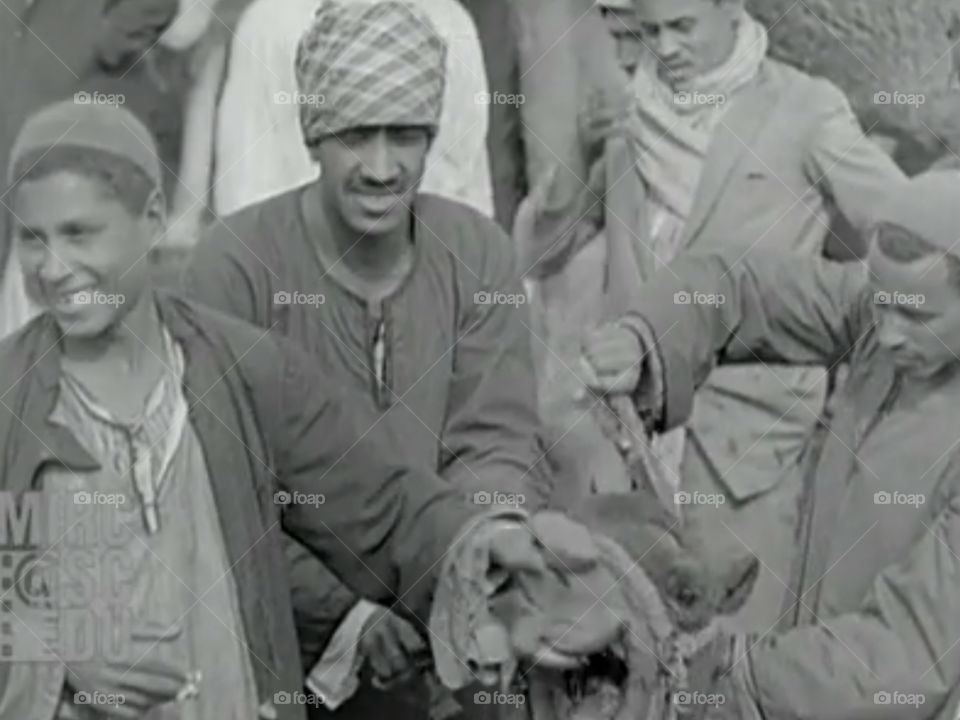 Cutting off camel's hair Egypt 1928