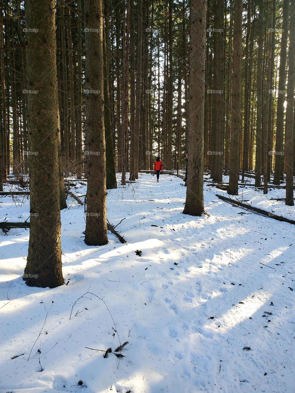 boy in woods