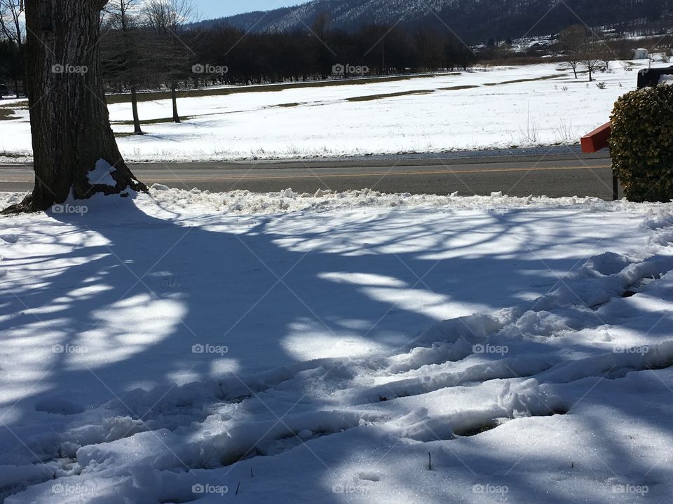 Shadows in the snow