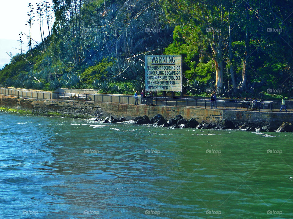 green jail plants trees by analia