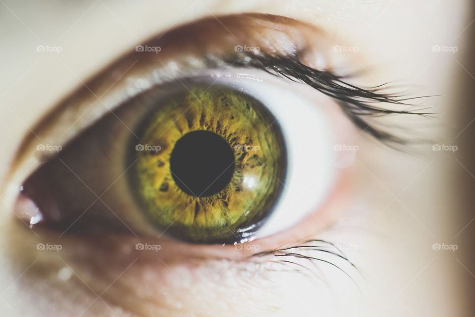 Beautiful and detailed close-up of a hazel-green eye