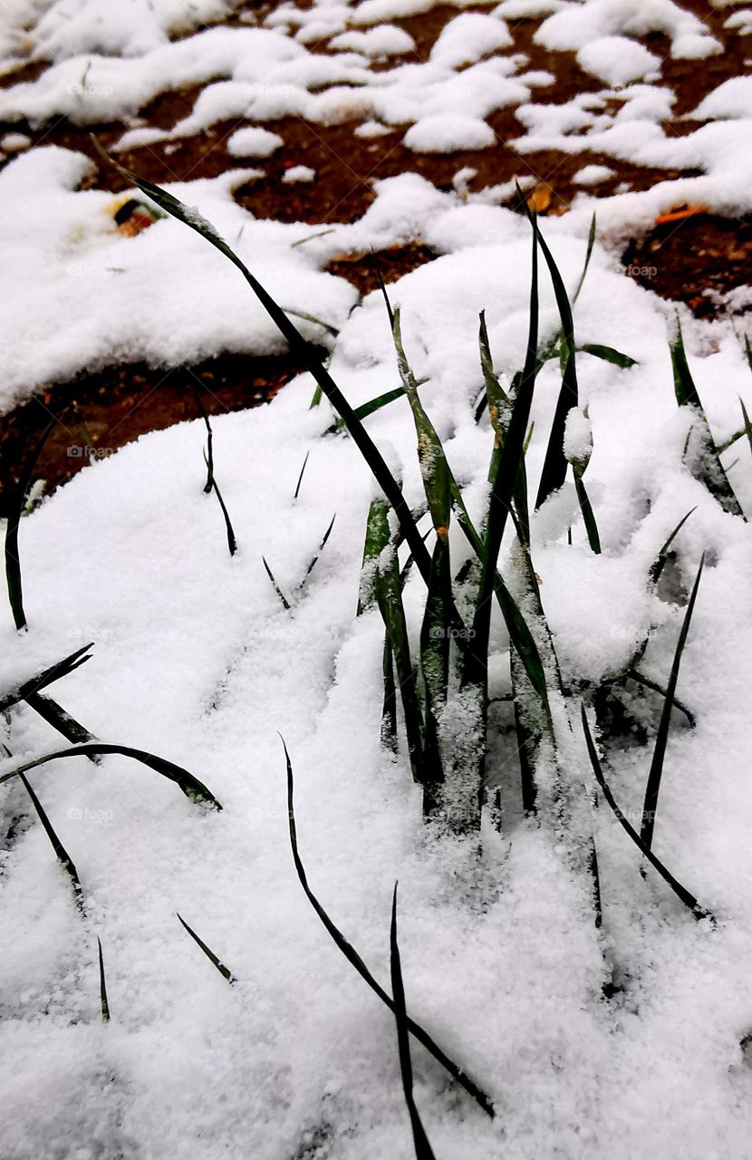 first snowfall this winter