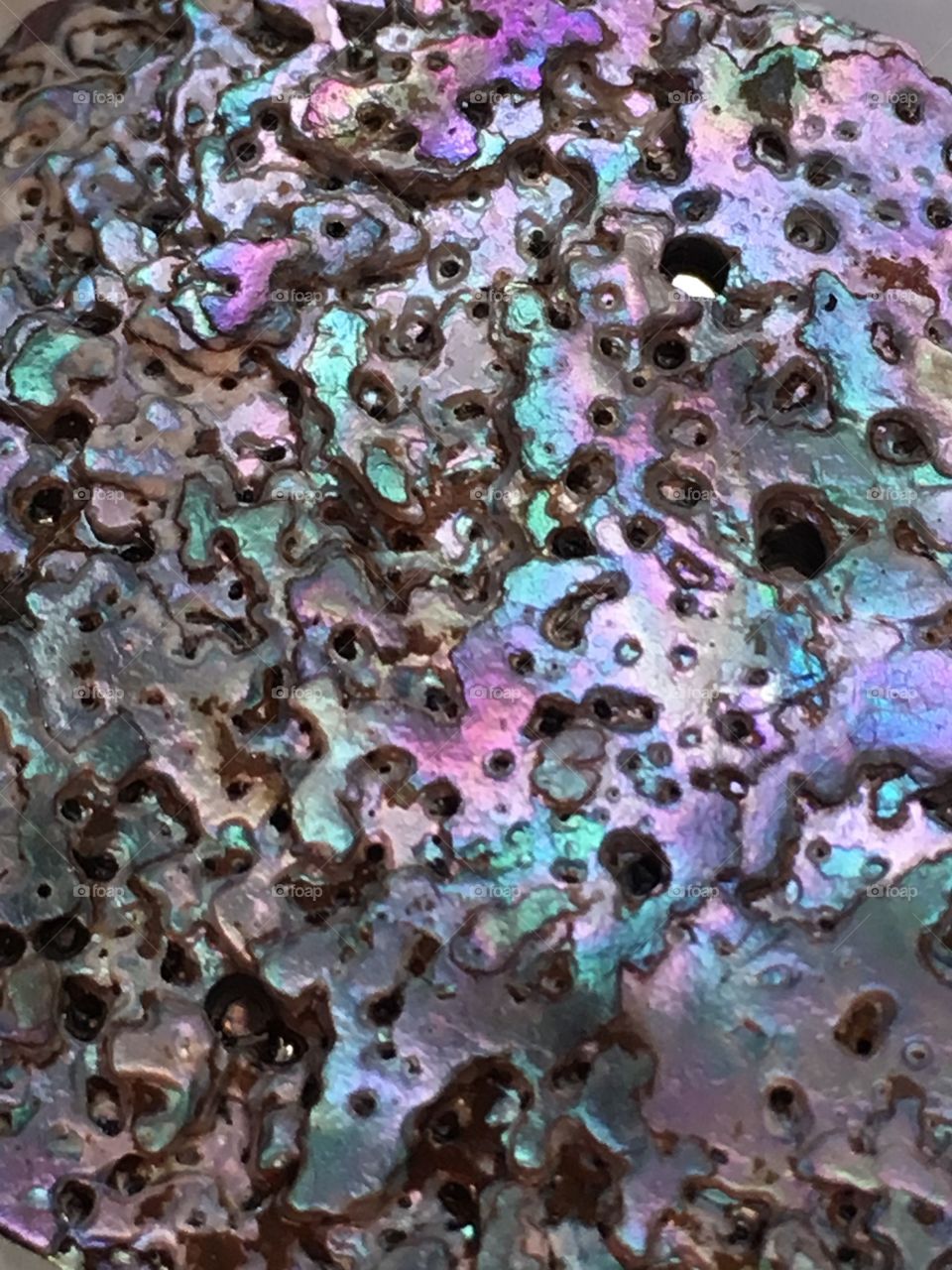 Sea shell iridescence 
