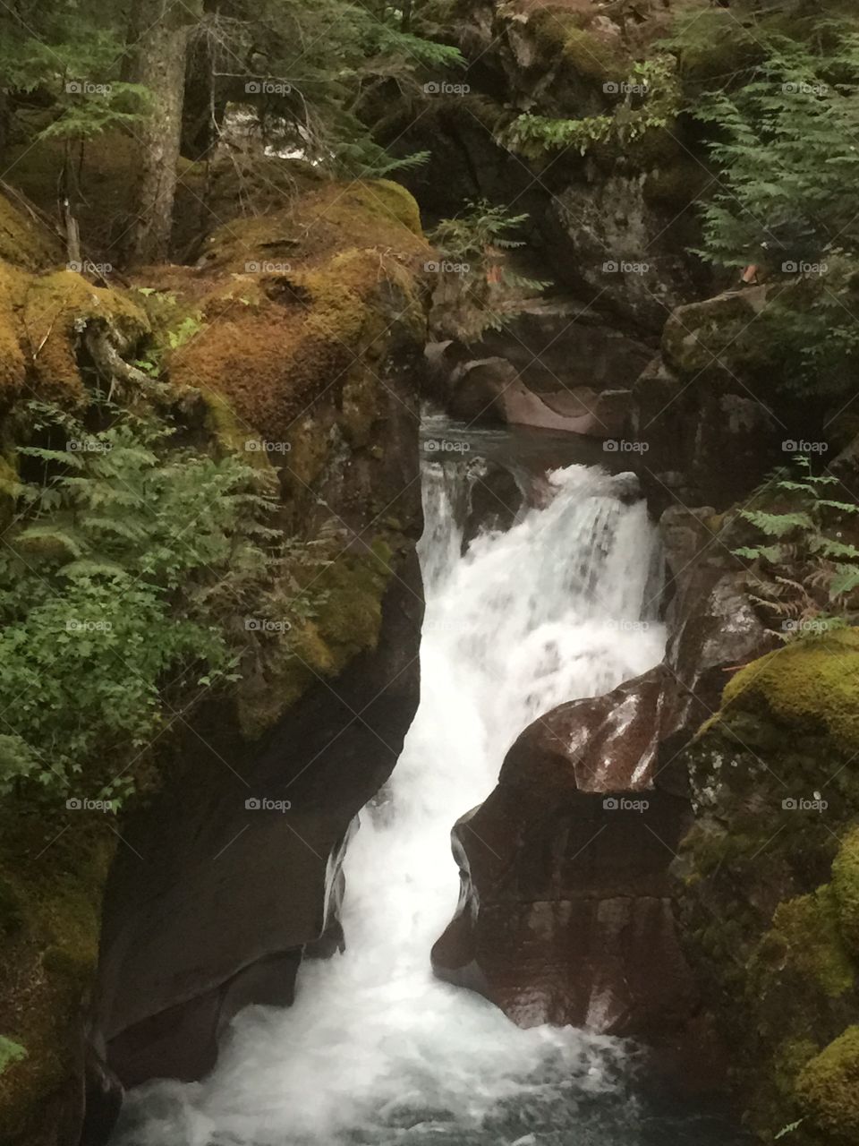 Glacier national park, Montana 