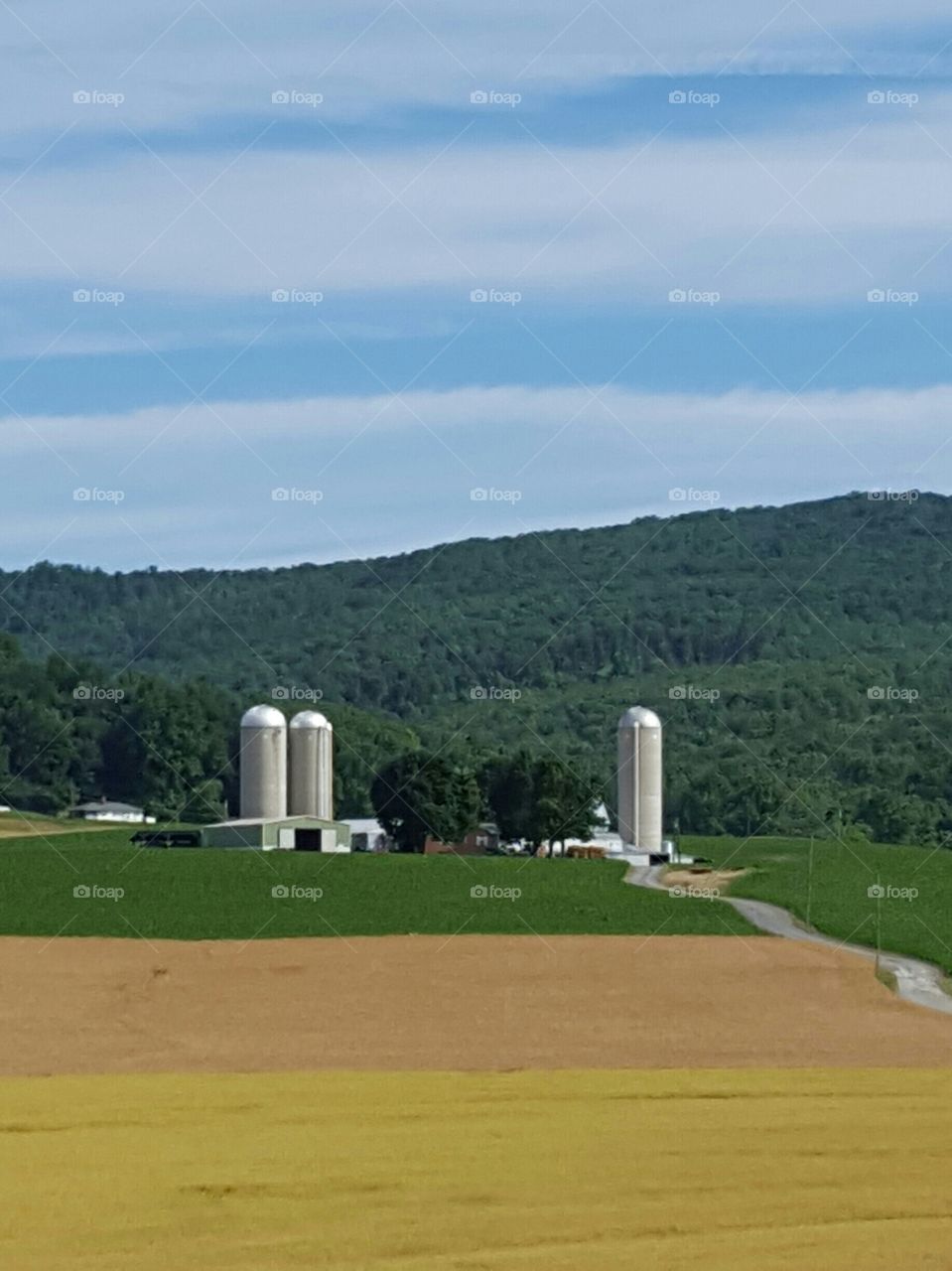 farm in the valley
