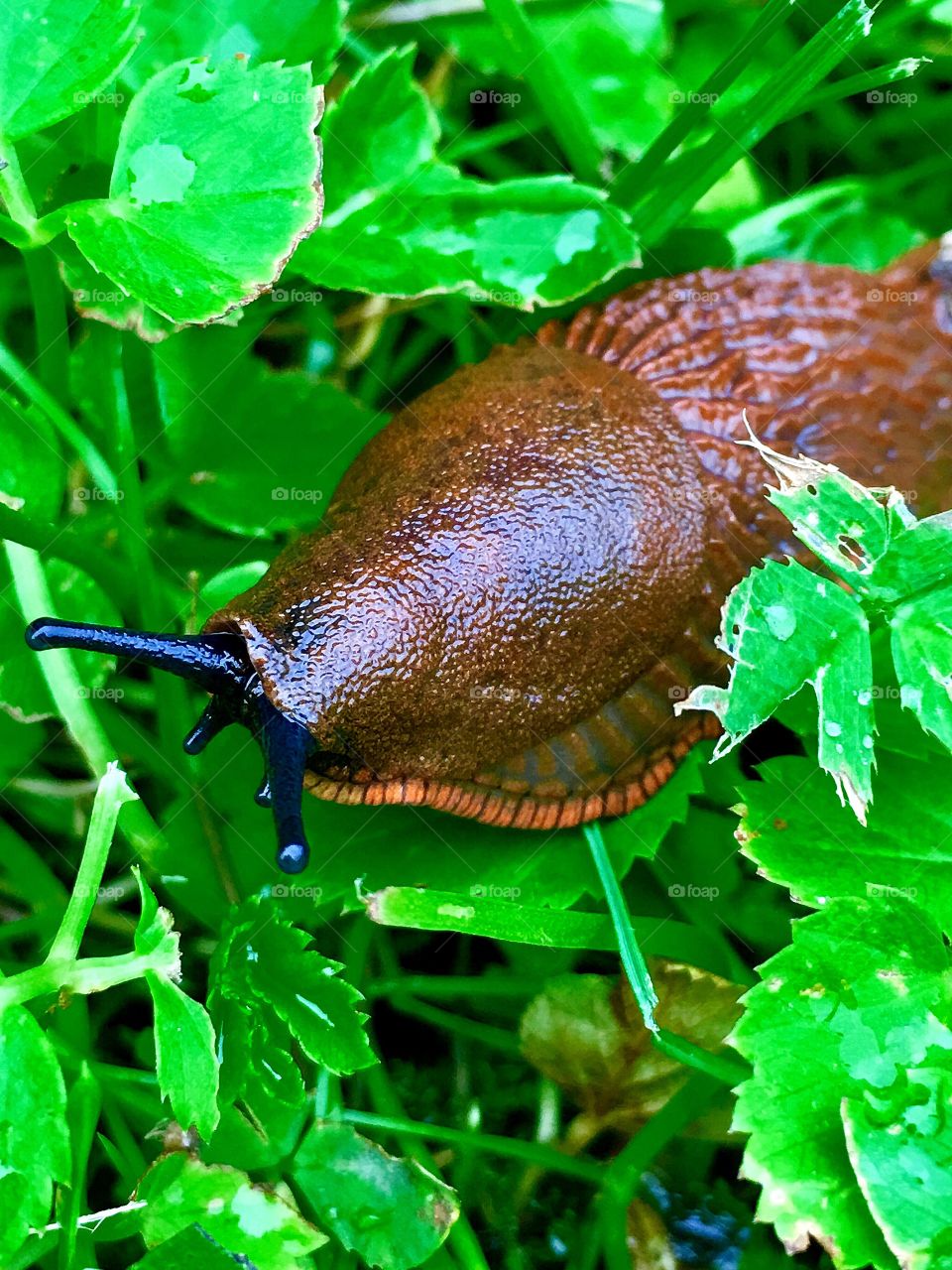 Captured with iPhone 6s Plus 