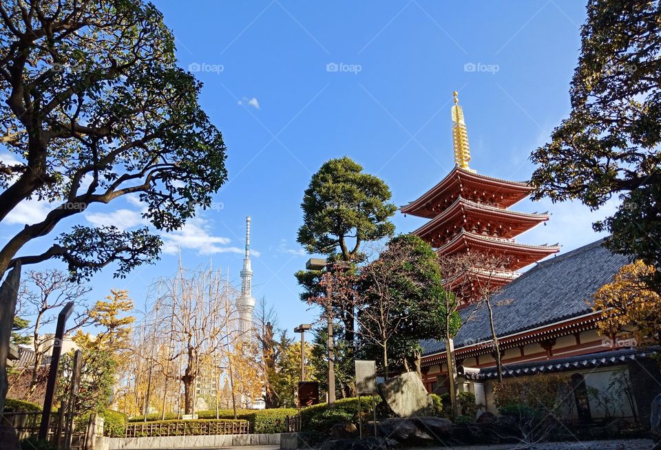 View of Tokyo sky tree with asakusa shrine, Tokyo, Japan