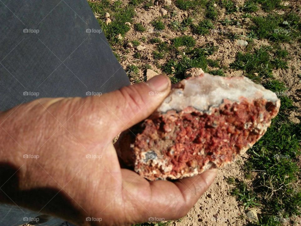 A hand holding a granite rock.