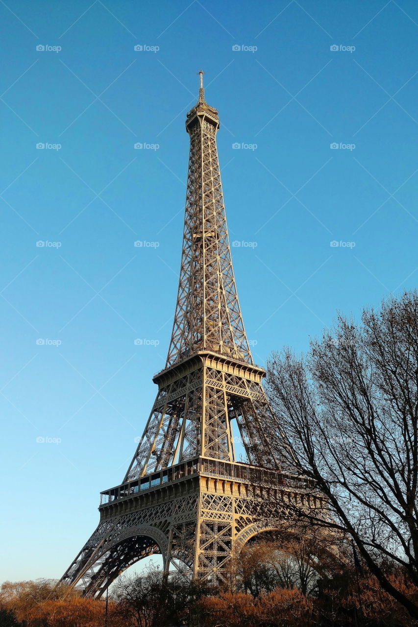 The Eiffel Tower on