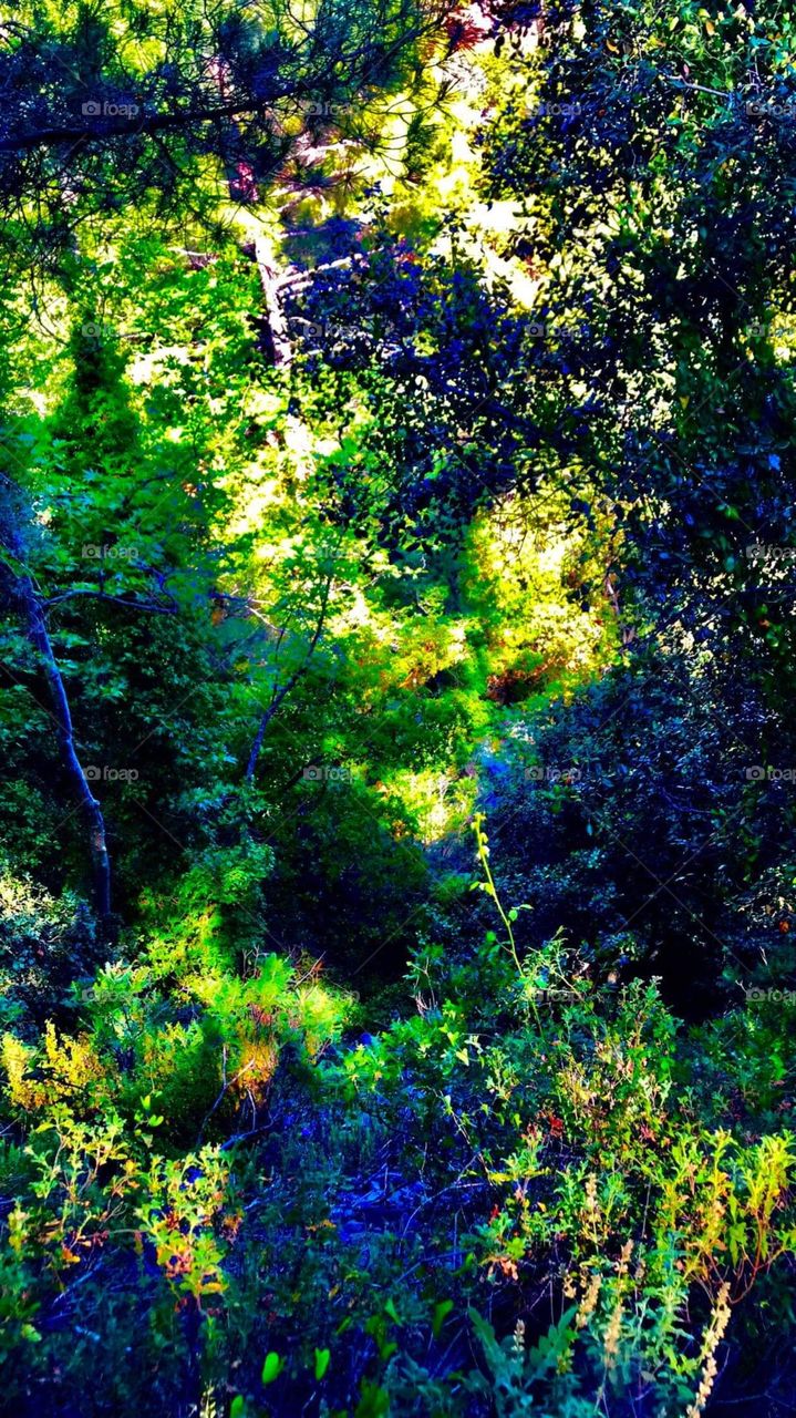 Forest Waterfall Kalidonia Kakopetria 2020