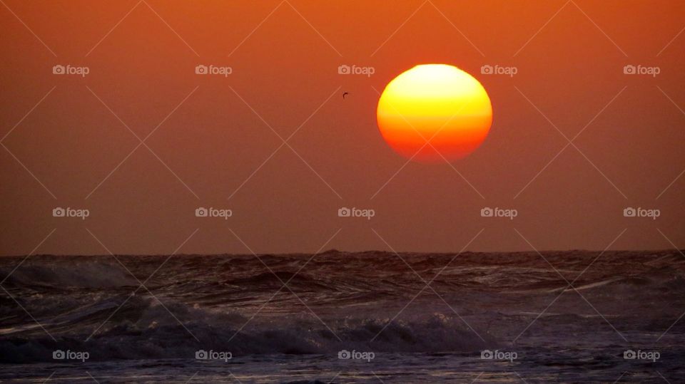 Gulf coast sunset