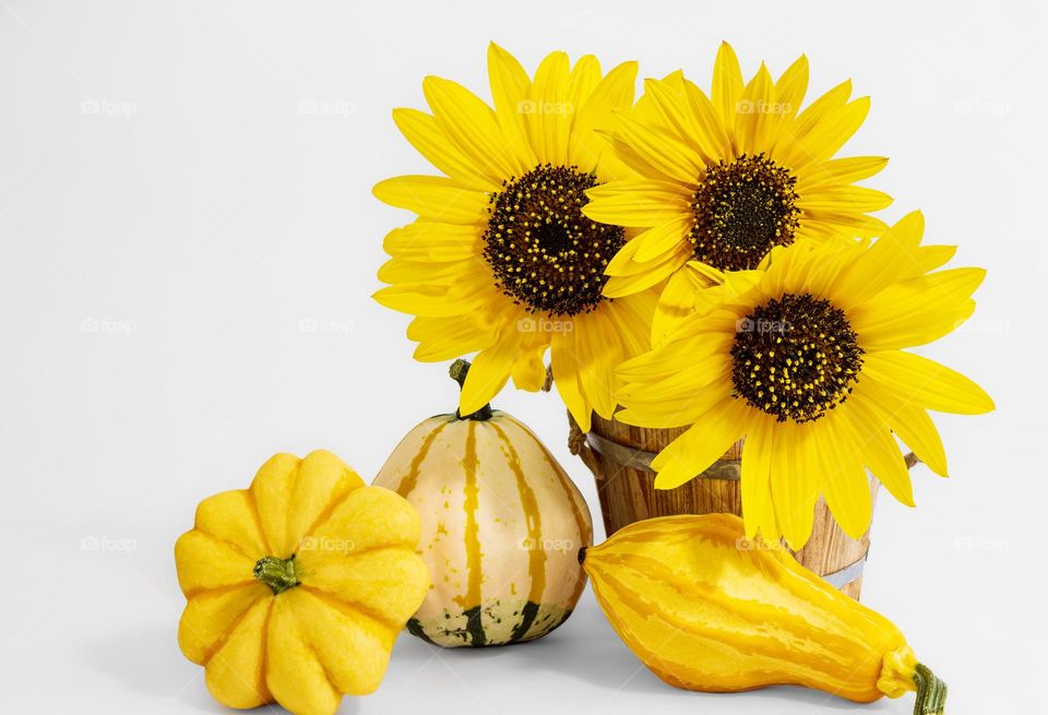 Bright yellow sunflowers and gourds