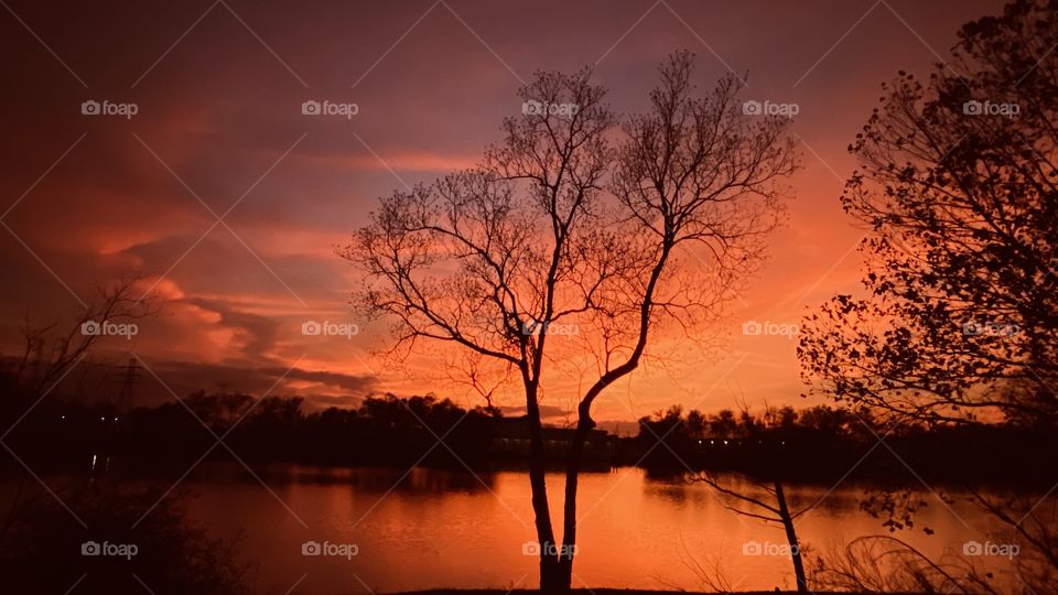 All the Evening Colours are working with the Twilight. Tree has lost Foliage and Wjnter will be setting in the Northern Gulf Coast Region of Texas. 