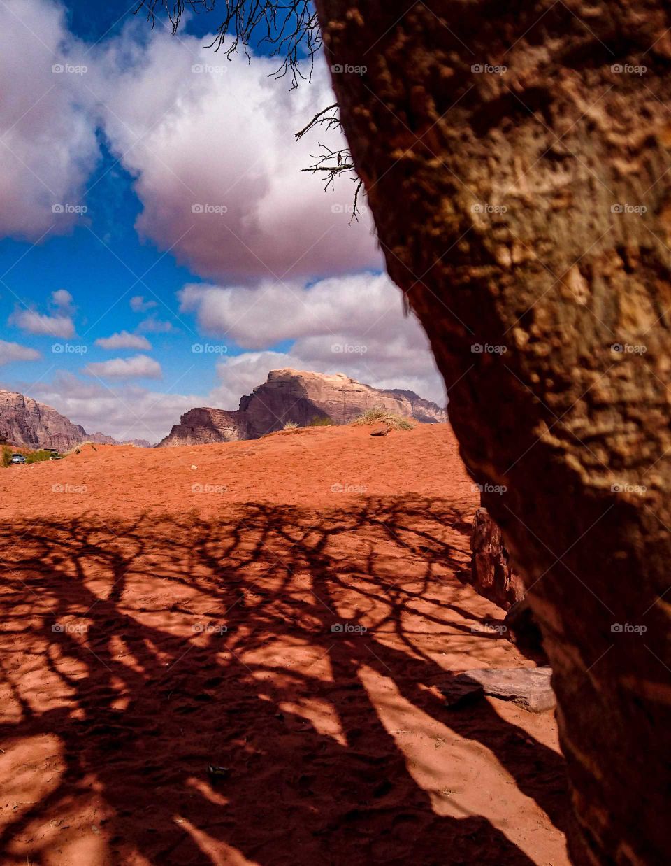 Tree shadow in the valley