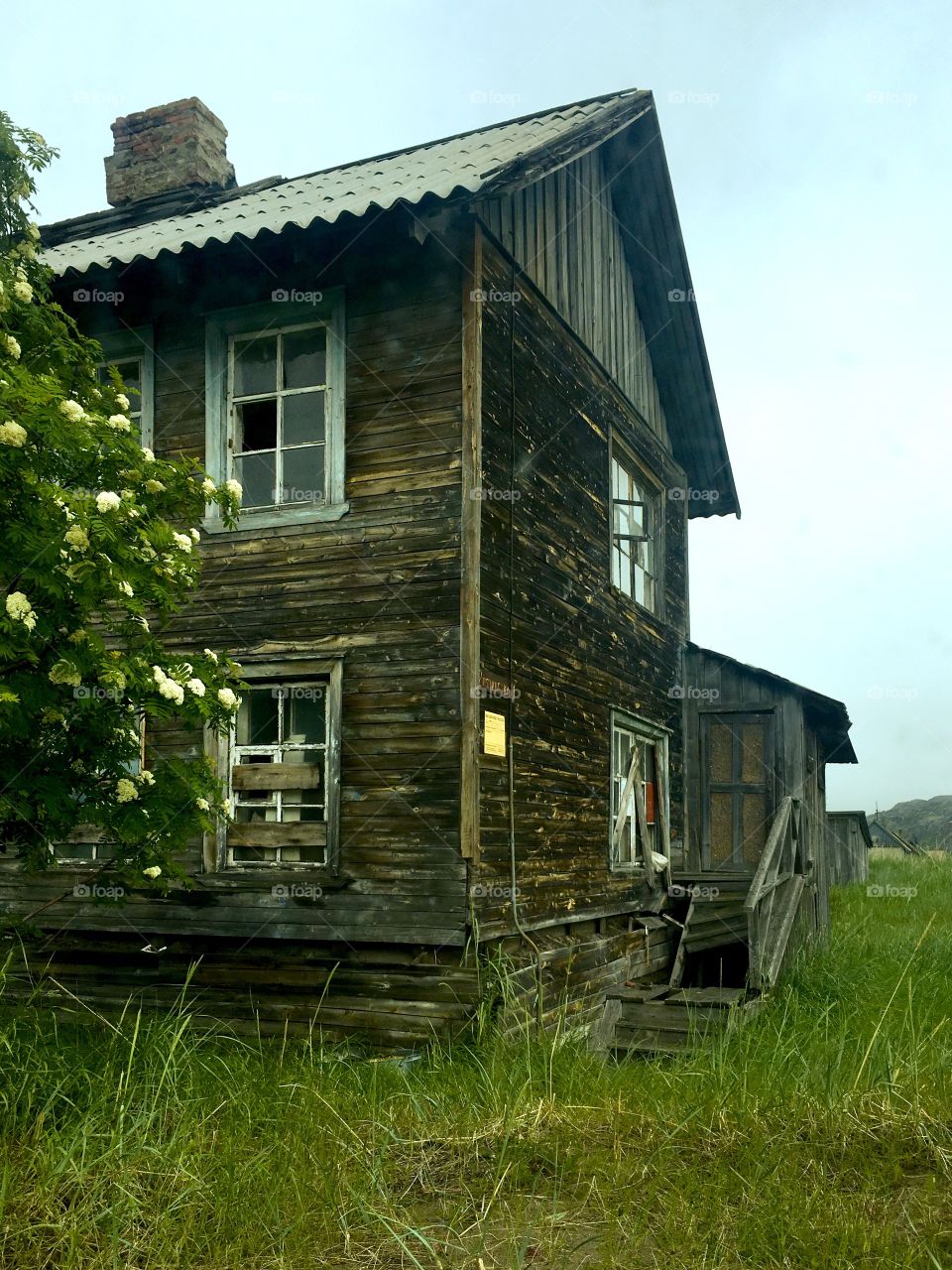 Wooden house 