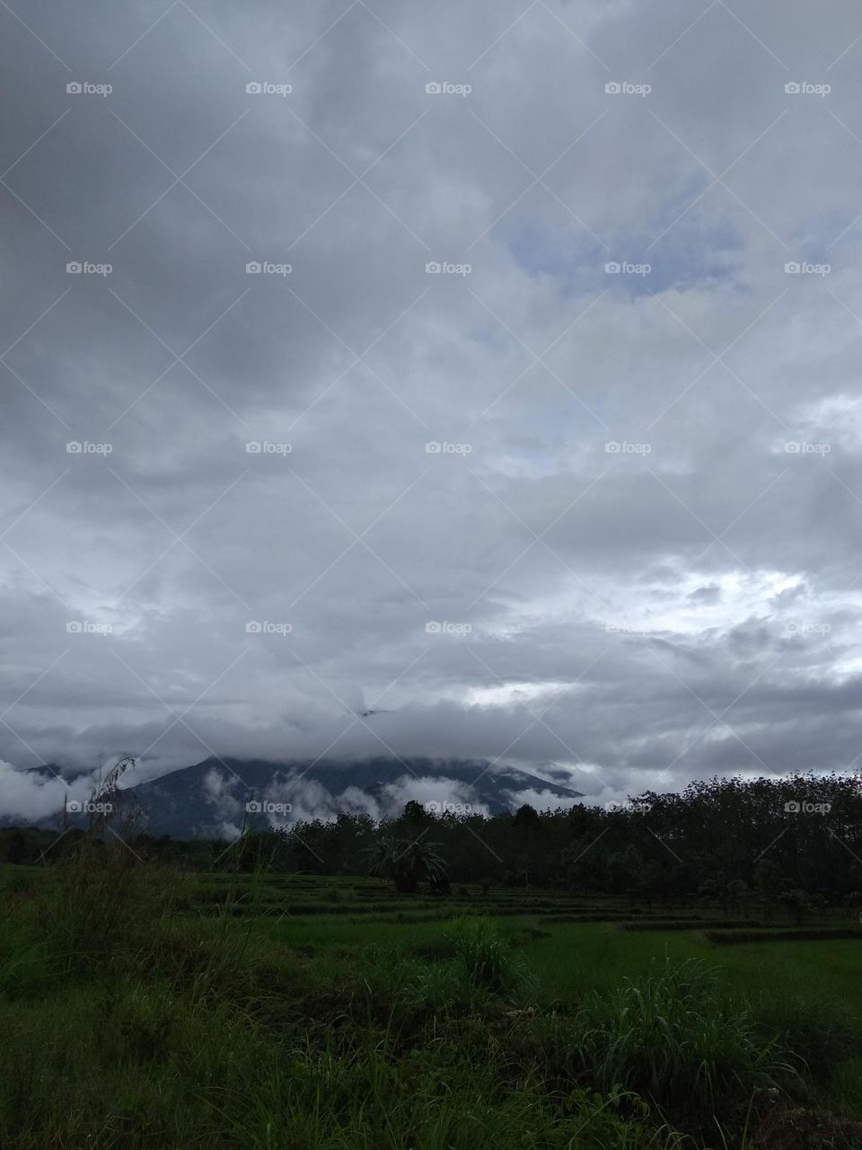 pegunungan dan persawahan